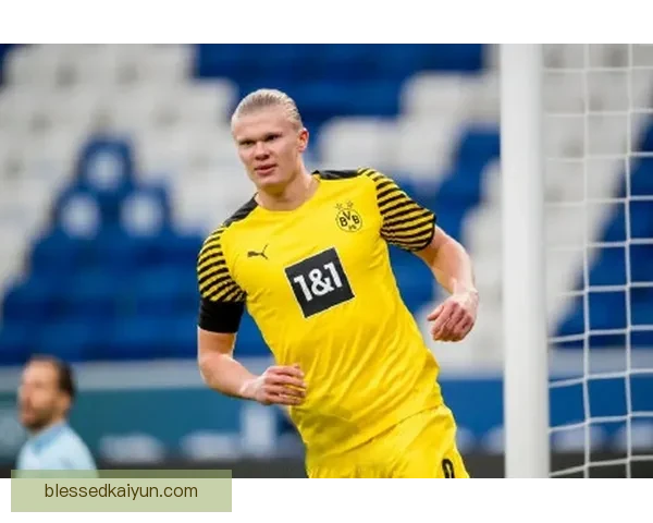 哈兰德伤病管理趋向积极，展现出恢复稳定的迹象